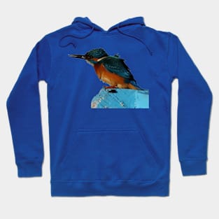 Turquoise Blue Fishing Bird Vector Art Hoodie